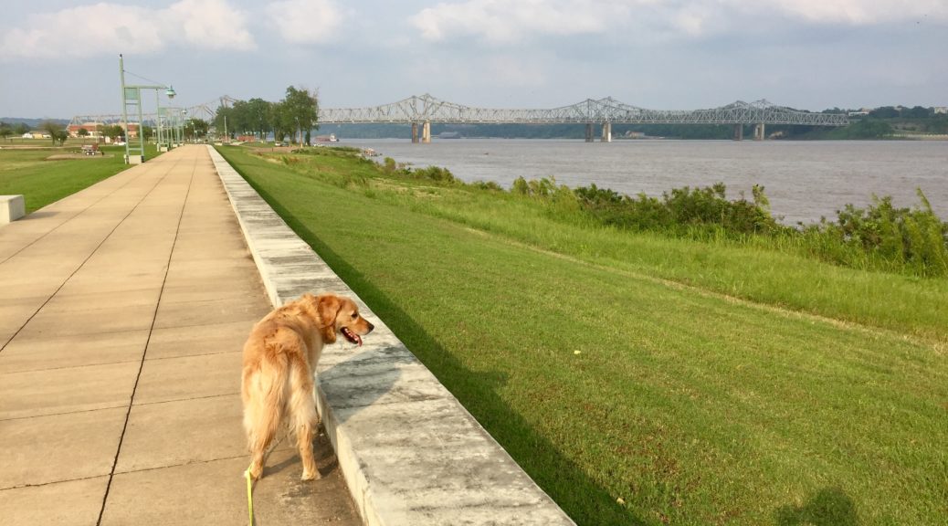 RV-Park bei Natchez