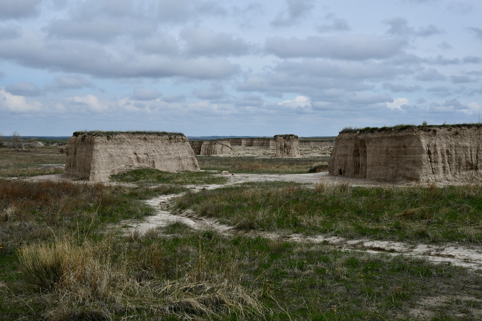 Aus grüner Wiese ragen quadratische sandfarbene Hügel heraus als wären sie mit Sandförmchen dorthin gesetzt